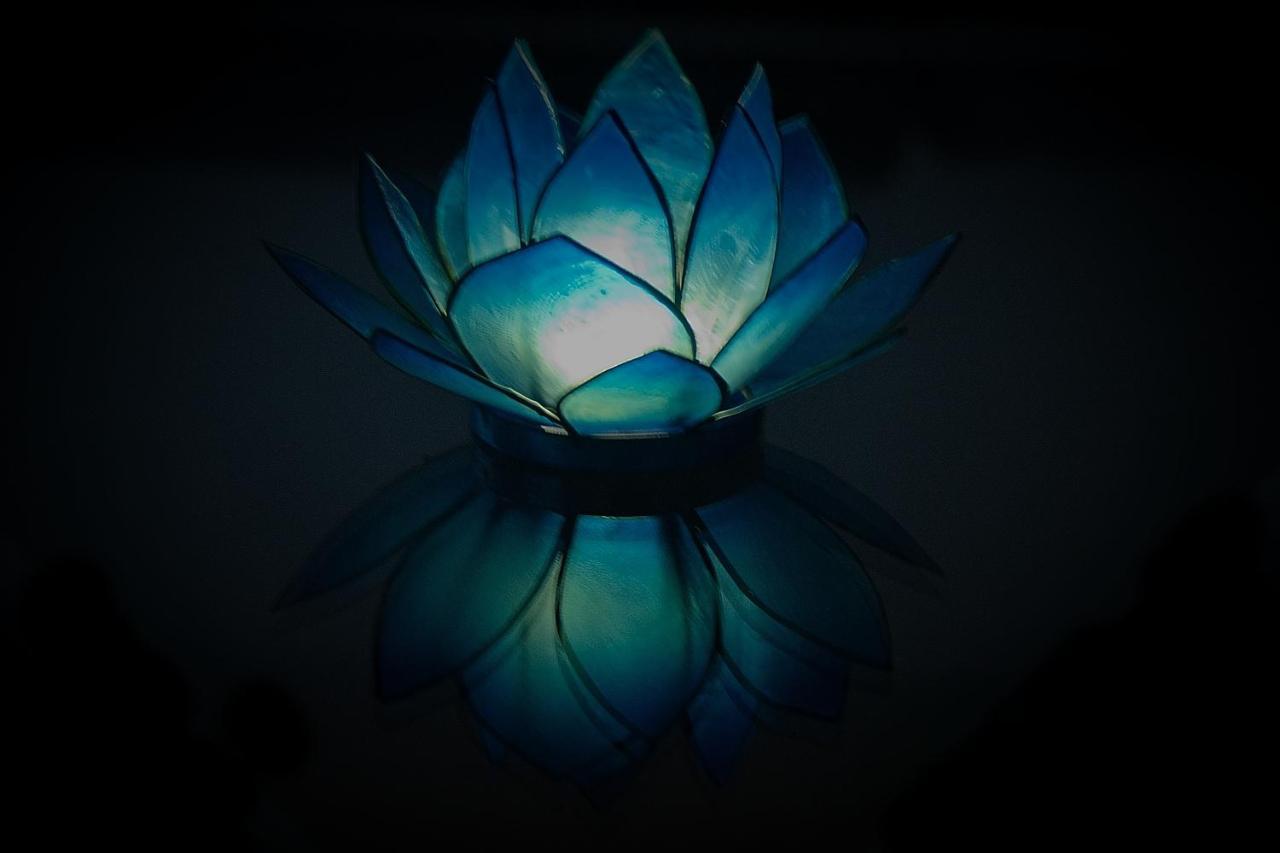 Blue Lotus Appartamento *